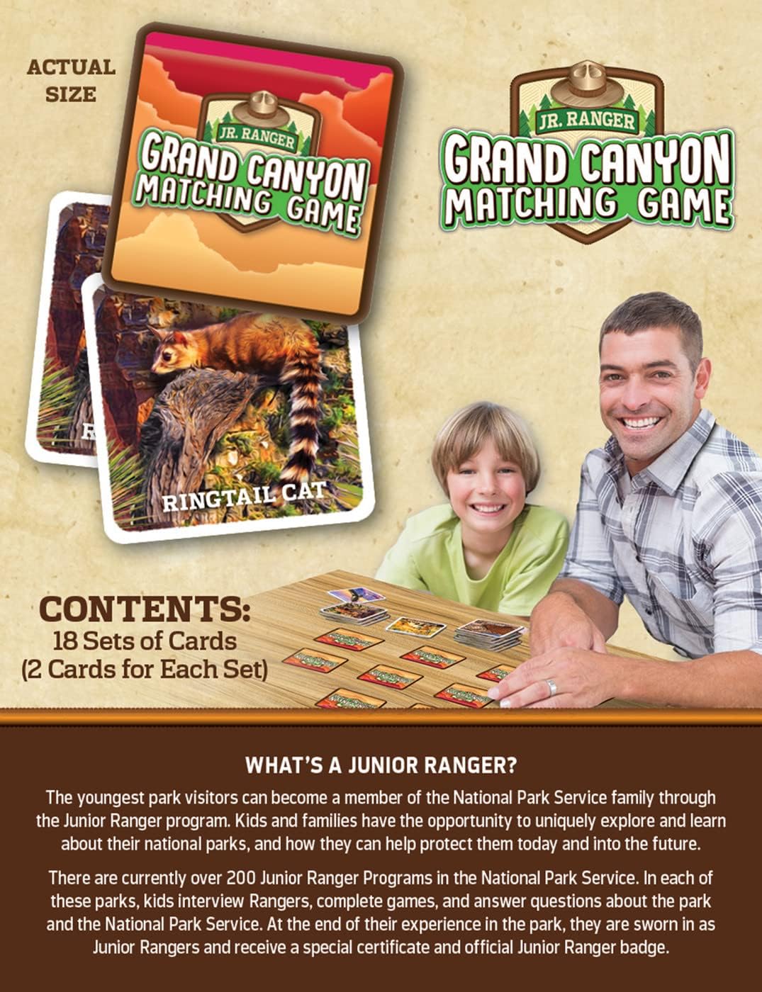 MasterPieces Officially Licensed CAT Picture Matching Card Game for Kids and Families