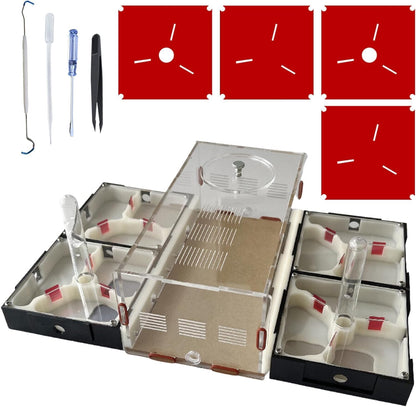 Plaster Test Tube Adult ant Farm Acrylic Transparent ant Observation Behavior Study Live Ants and Queen Education ant nest Small Colony breeding Area Suitable for Children and Enthusiasts Gift