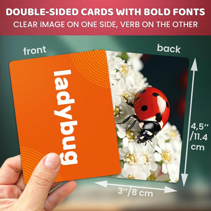 QUOKKA 104 Noun Flash Cards Set – Kids and Adults Vocabulary Builder for ABA Therapy, Early Childhood Education, and ESL Teaching – Picture Cards for Speech Therapy and Vocabulary Building Activities