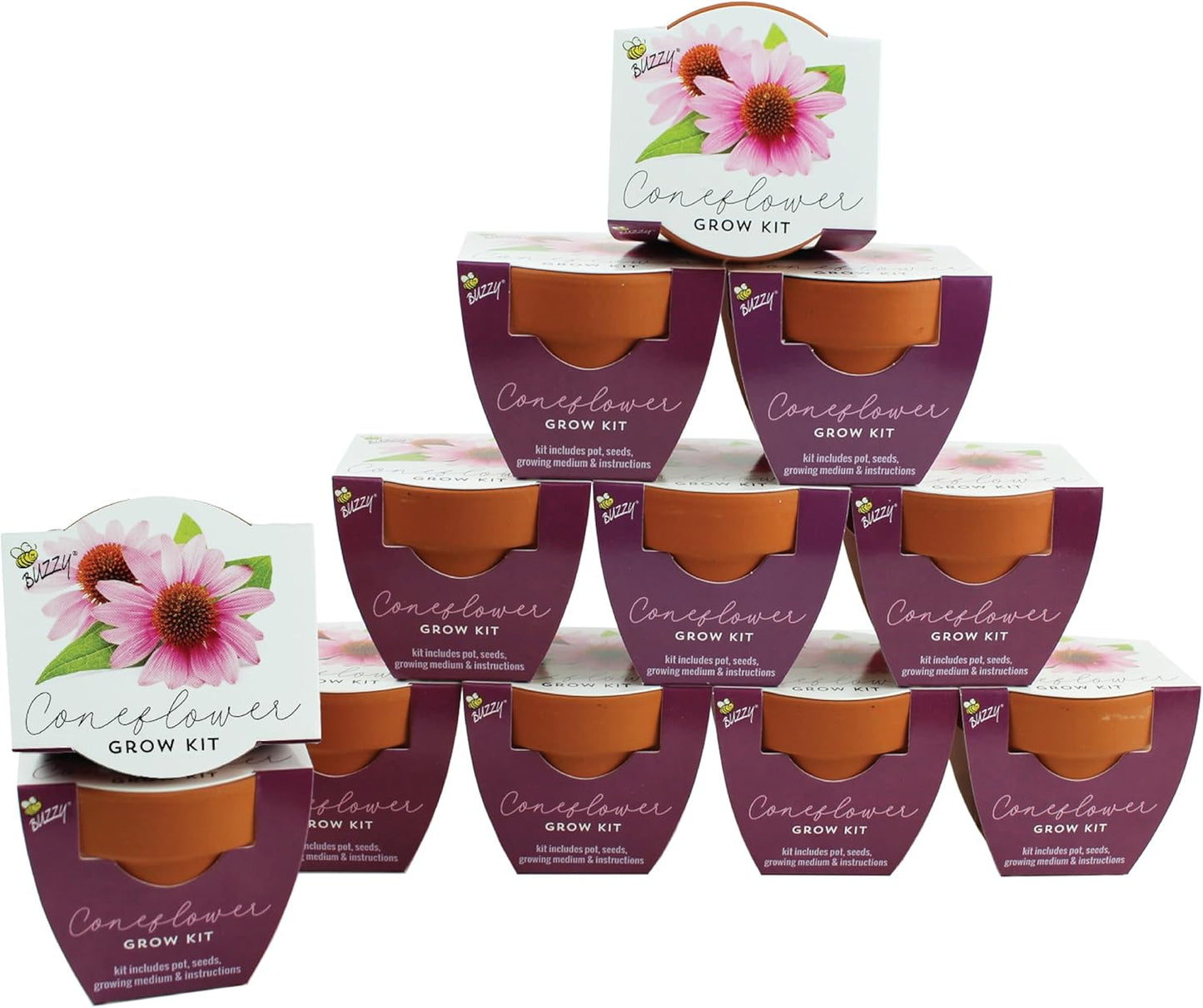 BUZZY Seeds 12-Pack Sunflower Mini Grow Pots – All-in-One Terracotta Flower Starter Kit with Growing Medium, DIY Gardening, Wedding and Shower Favors