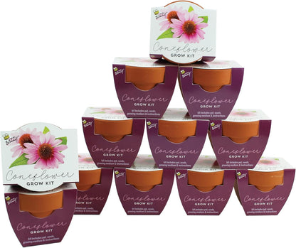 BUZZY Seeds 12-Pack Sunflower Mini Grow Pots – All-in-One Terracotta Flower Starter Kit with Growing Medium, DIY Gardening, Wedding and Shower Favors