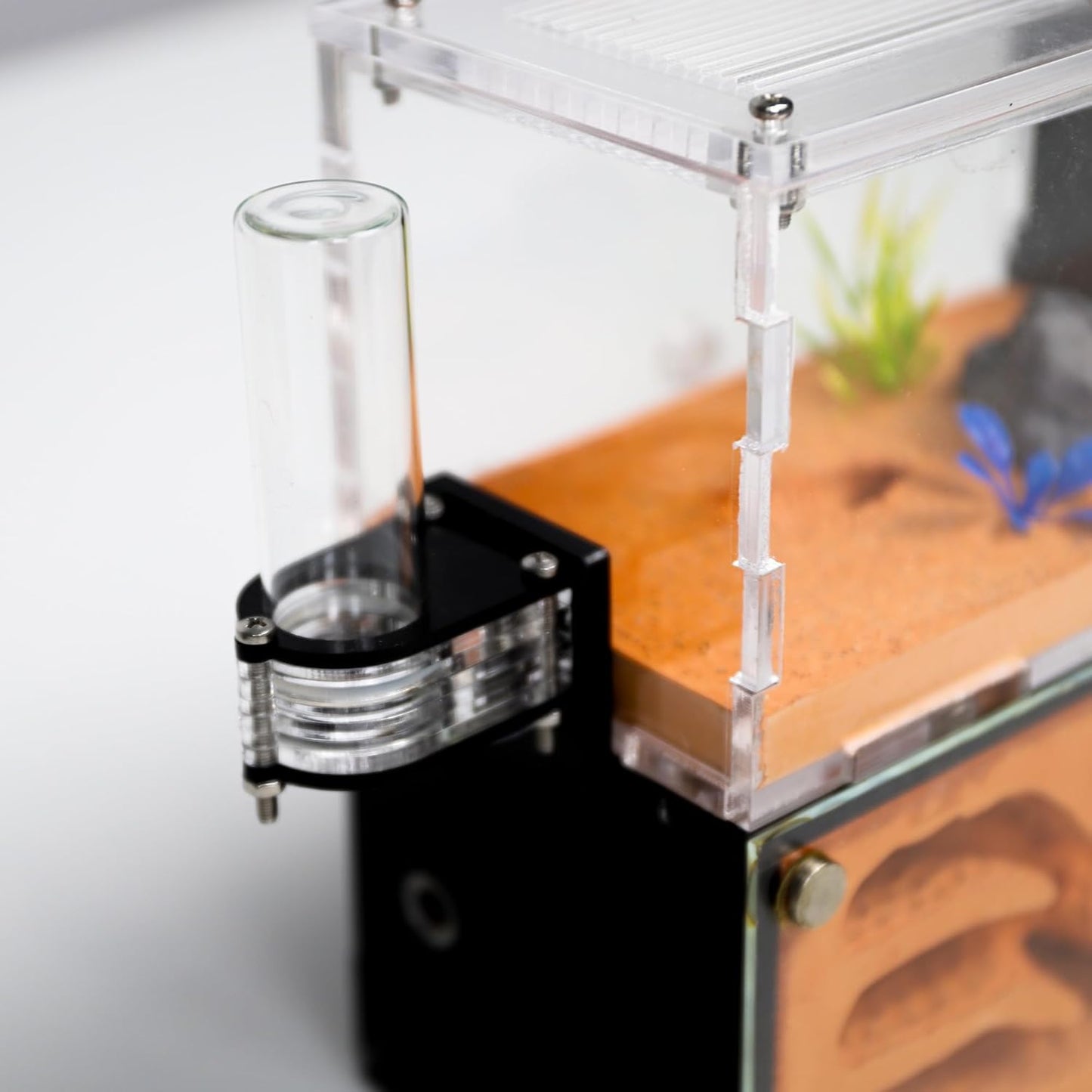 Ant Farm Nest for Adults Study of Ant Behavior Ant Nest ant Terrarium Educational Formicarium for Live Ants and Queen Two Floor