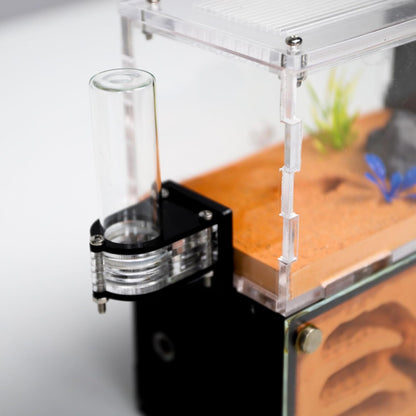 Ant Farm Nest for Adults Study of Ant Behavior Ant Nest ant Terrarium Educational Formicarium for Live Ants and Queen Two Floor