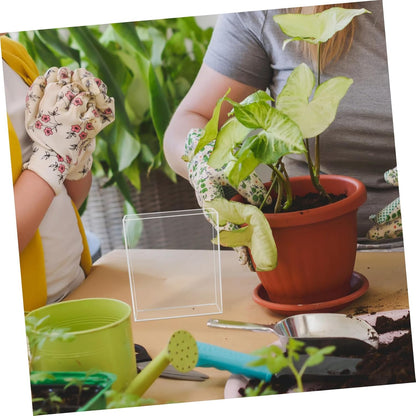 VICASKY Boy Girl Gardening Mini Greenhouse Root Viewer Educational Starter Trays for Indoor Plant Growth and Science Exploration Transparent Design for Young Learners