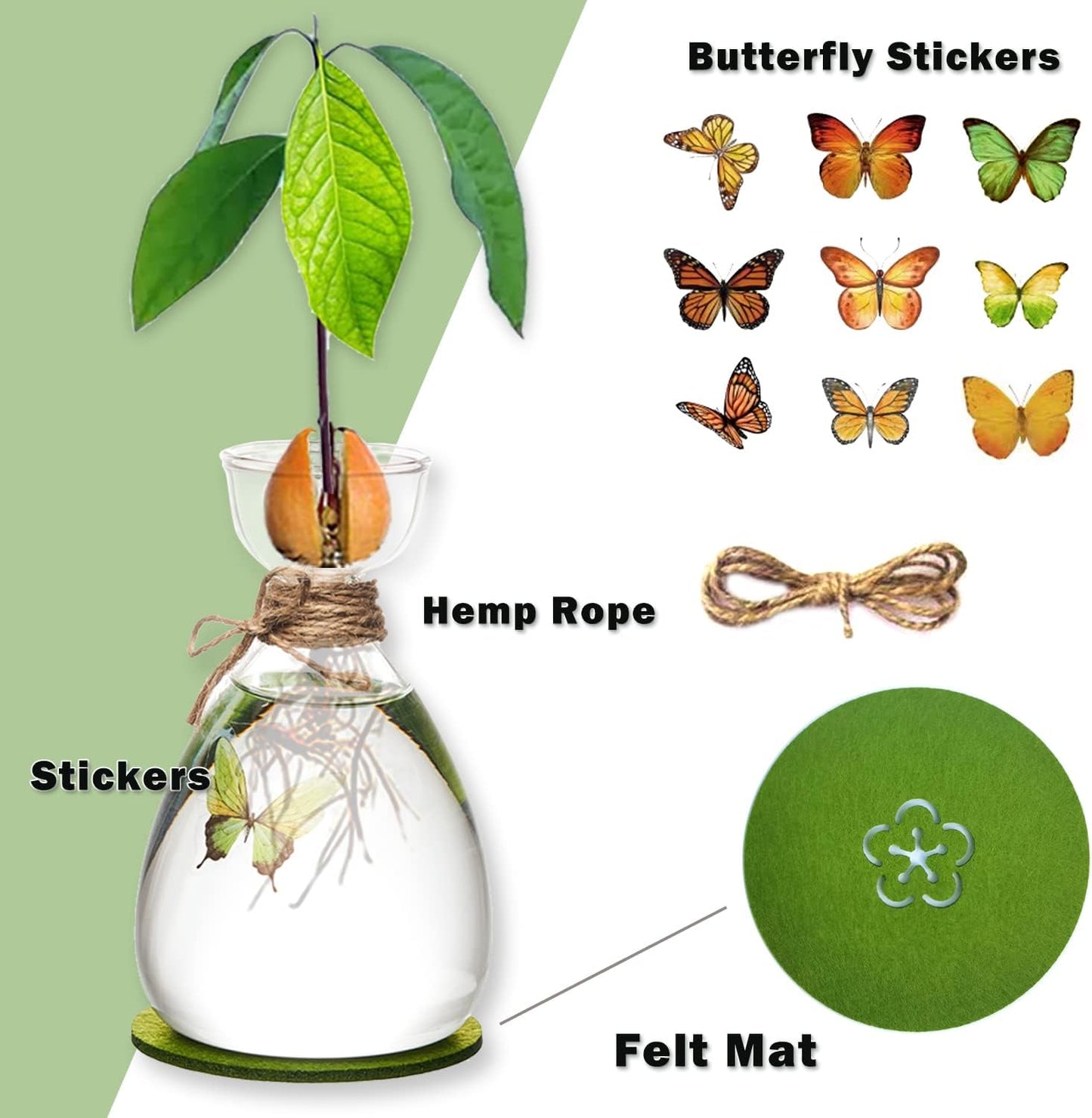Avocado Seed Vase,DIY Avocado Seed Starter Glass Vase with Absorbable Mat and Butterfly Stickers,Avocado Tree Growingredients Vase for Seed Gardening Gifts Sirensky Brand