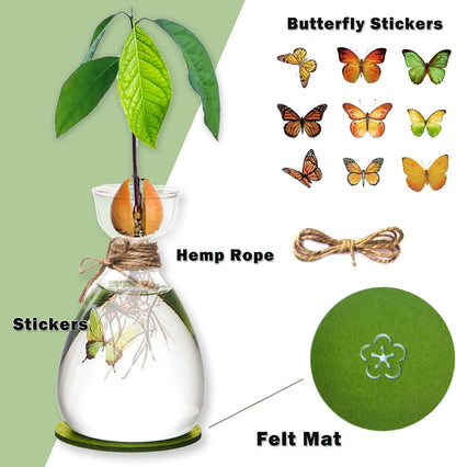 Avocado Seed Vase,DIY Avocado Seed Starter Glass Vase with Absorbable Mat and Butterfly Stickers,Avocado Tree Growingredients Vase for Seed Gardening Gifts Sirensky Brand