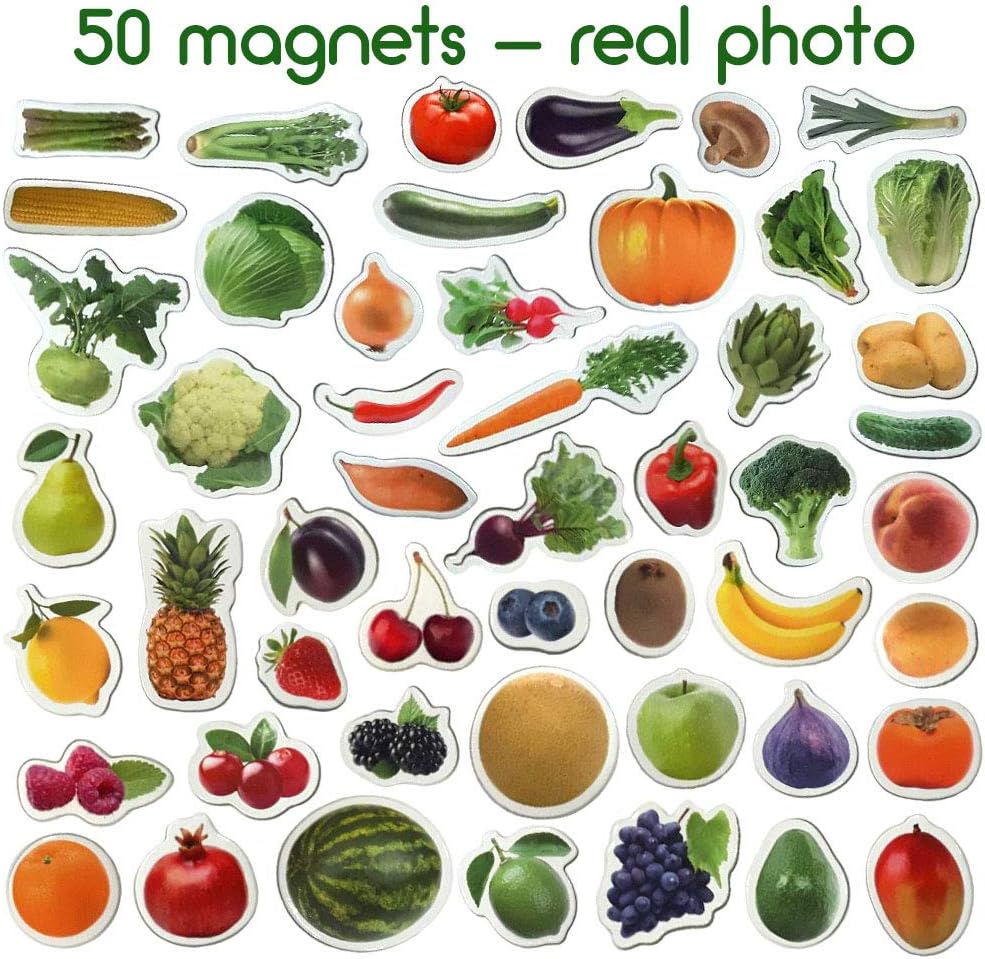 25 Fridge Magnets for Toddlers - Birds Photo Kids Magnets for Refrigerator – Real Magnetic Animals for Children – Big Realistic Magnet for Kids - Learning Toy Set - Baby Educational Gift