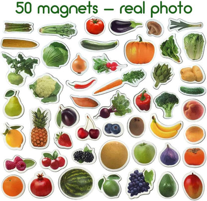 25 Fridge Magnets for Toddlers - Birds Photo Kids Magnets for Refrigerator – Real Magnetic Animals for Children – Big Realistic Magnet for Kids - Learning Toy Set - Baby Educational Gift