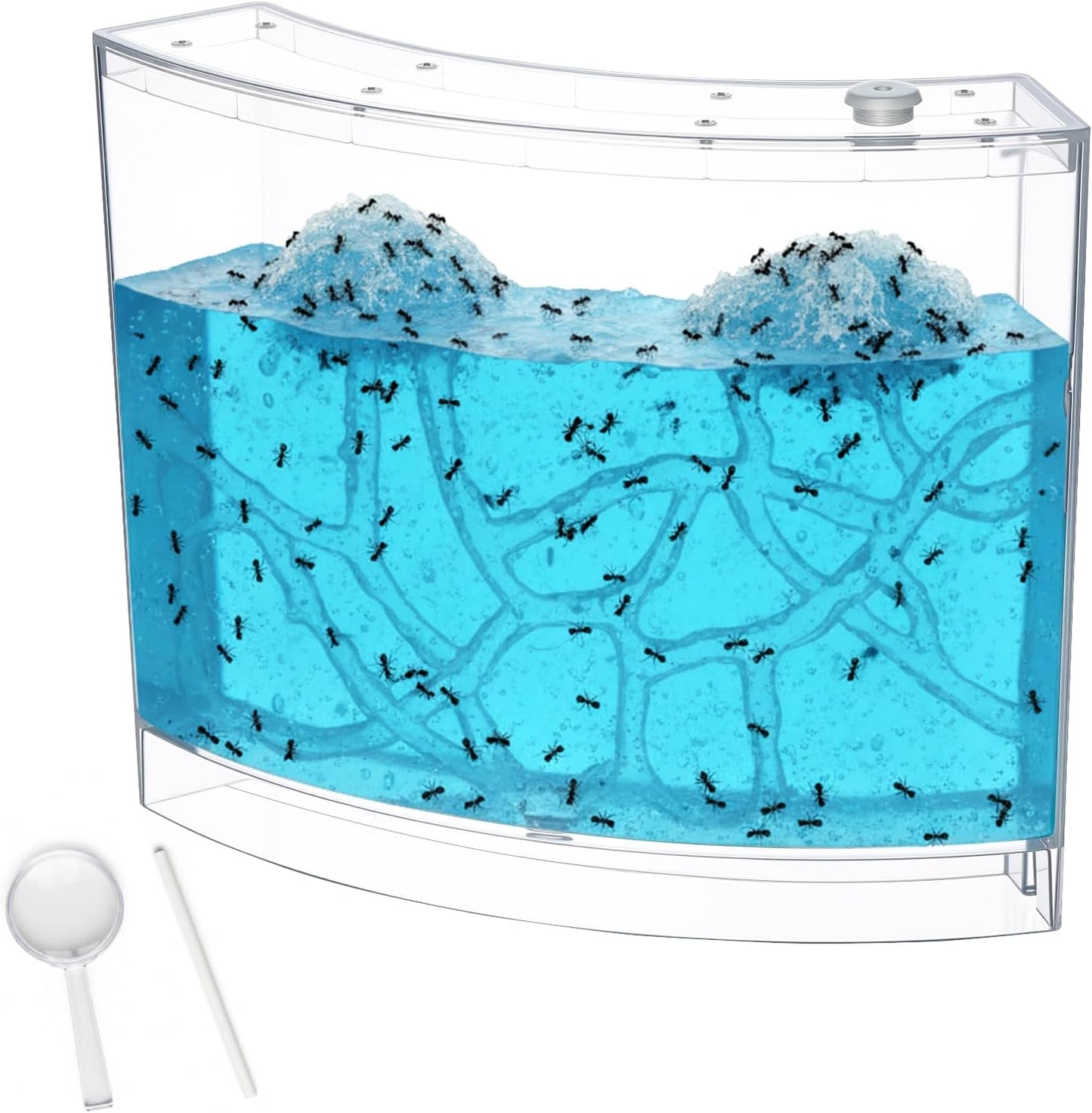 Ant Farm Terrarium Kit Giant Ant Farm Large Viewing Area Care for Live Ants Nature Learning DIY Kit Great Gift(Classic Style,Blue)