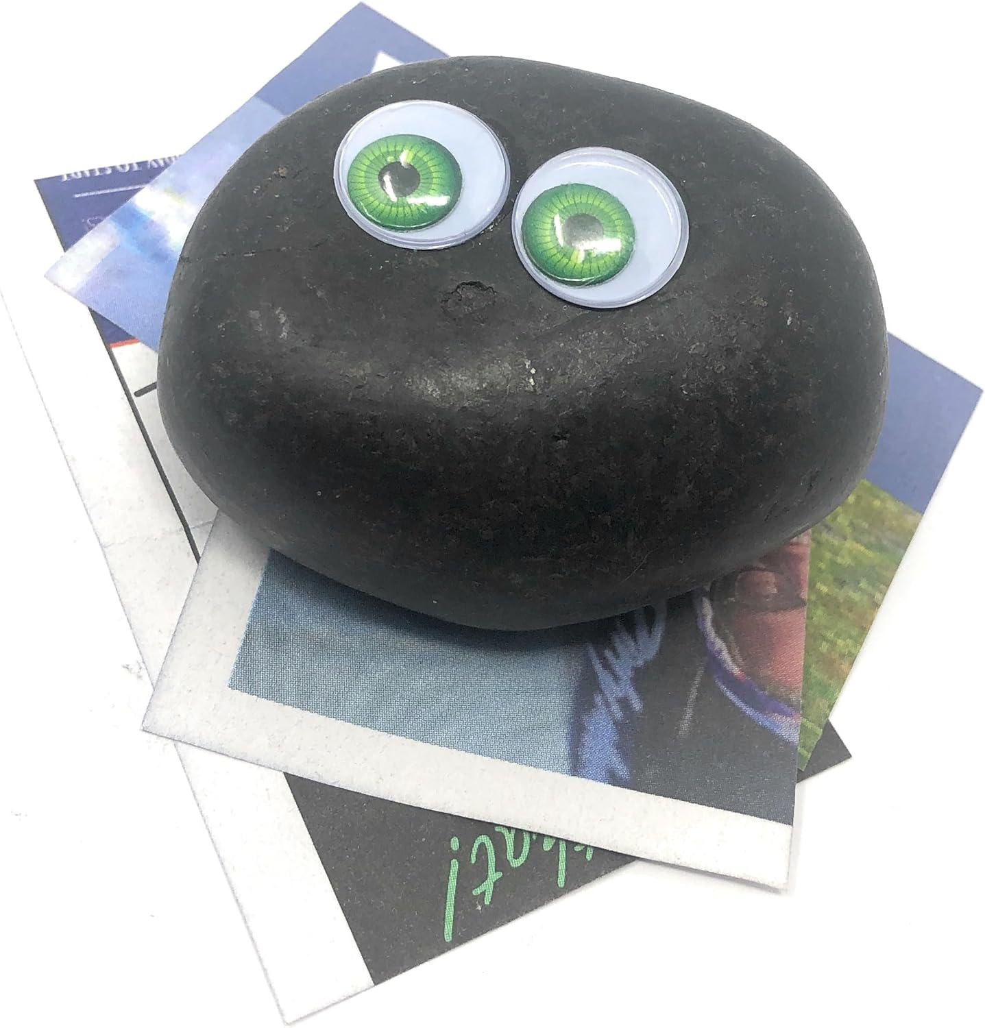 Rock Pet Adoption Kit Funny Novelty Gag Gift (Green Eyes)