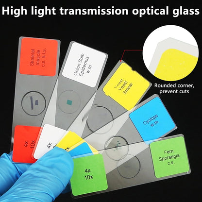 Microscope Slides with Specimens for Kids, 30 Lab-Grade Prepared Microscope Slides, Animal Plant Microbe Cells, STEM Biology Kit for Kids Ages 6-8 Homeschool, Classroom Labs & Science Education