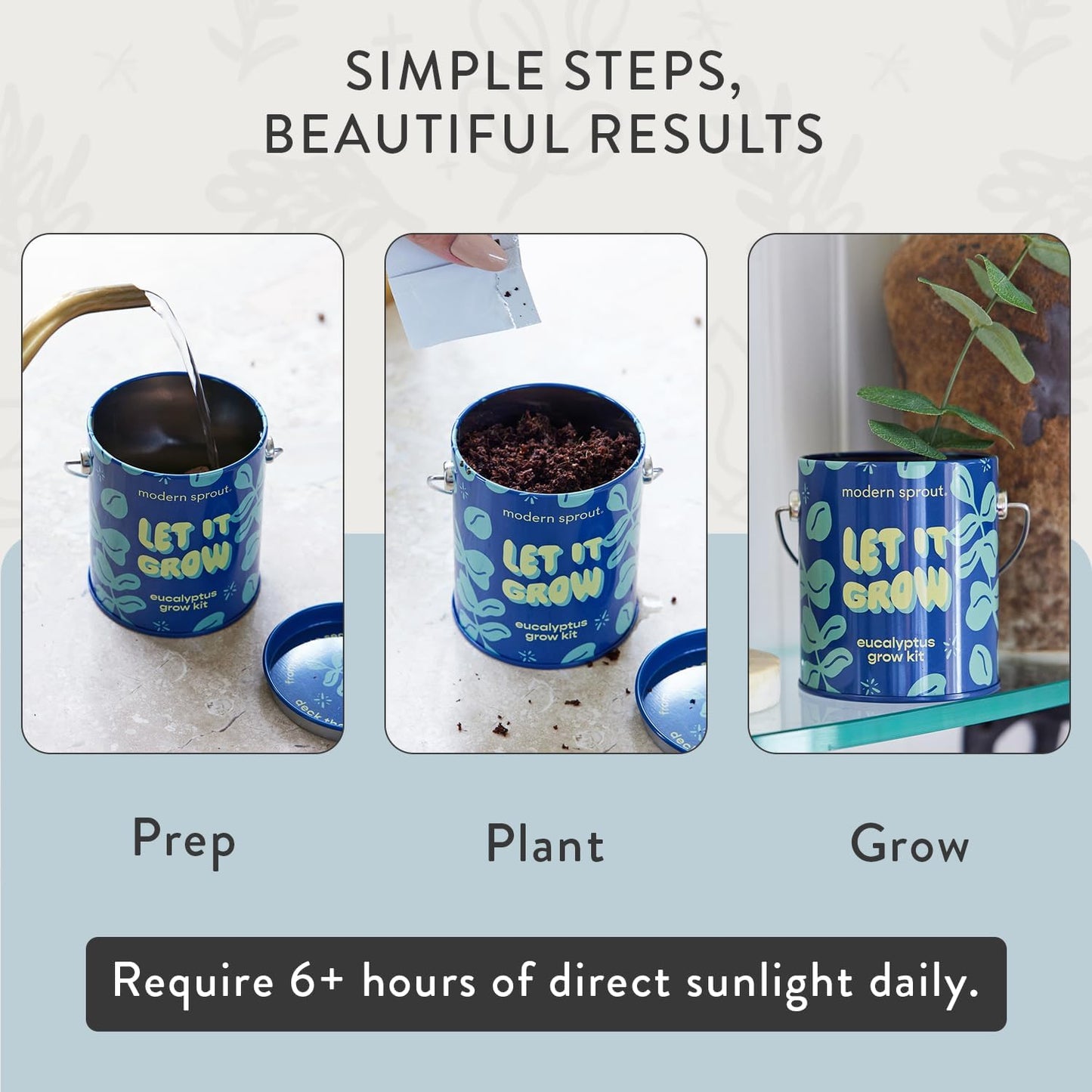 Modern Sprout Complimentary Color Grow Kits (Pack of 4) - Gift for Plant Lovers - Seed Starter Kit - Includes Organic Strawberry Tomato Sunflower & Cactus Seeds - Gardening Gifts that Grows with Love