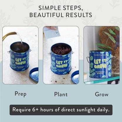 Modern Sprout Complimentary Color Grow Kits (Pack of 4) - Gift for Plant Lovers - Seed Starter Kit - Includes Organic Strawberry Tomato Sunflower & Cactus Seeds - Gardening Gifts that Grows with Love