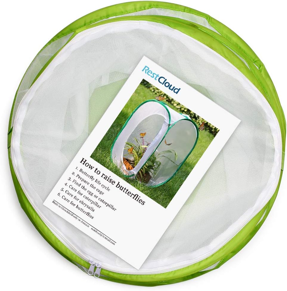 Insect and Butterfly Habitat Cage Terrarium Pop-up 12" x 14" Tall