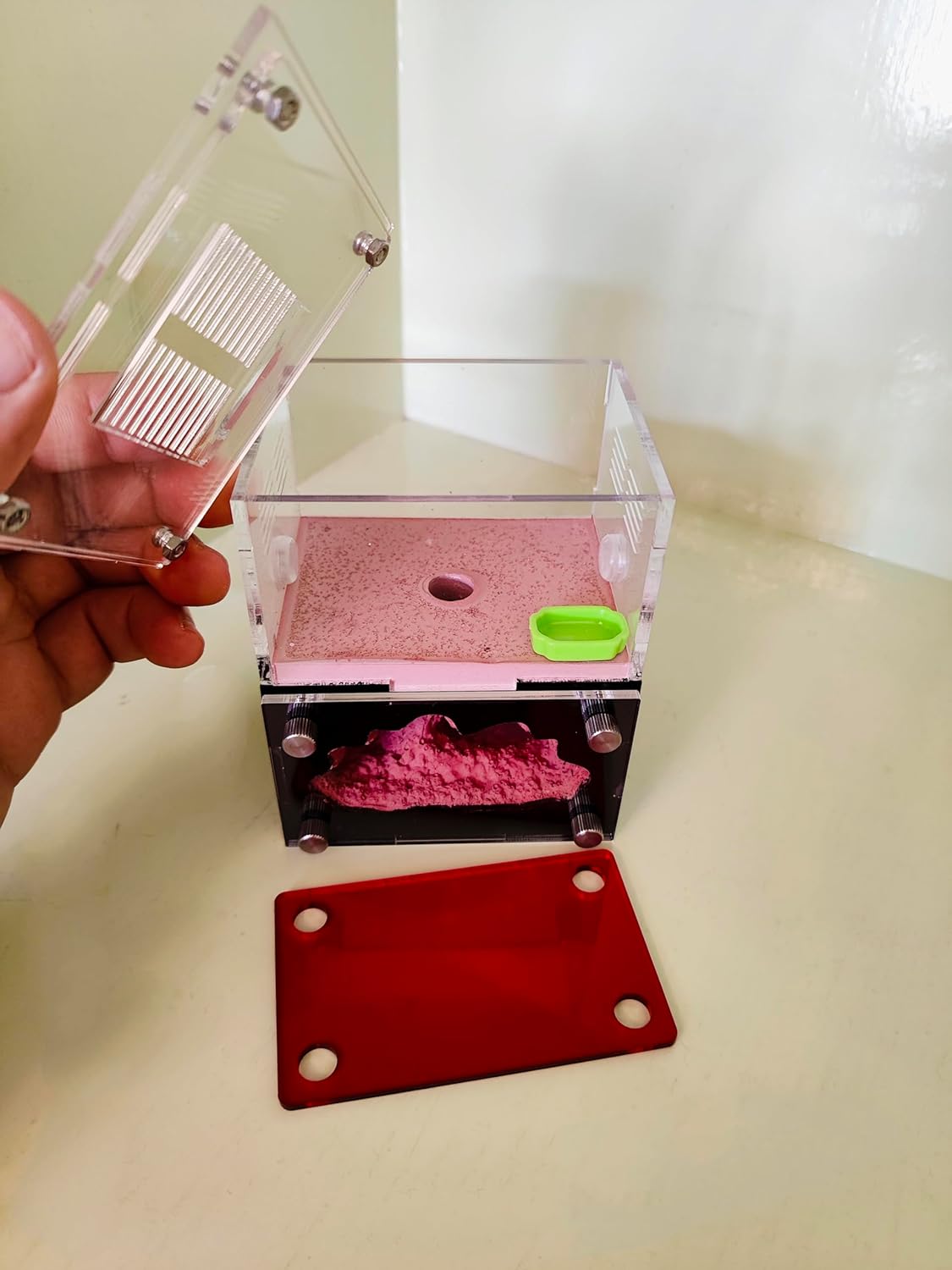 Ant Farm&Nest,House, Nest for ant Farm, Behavior Study House, Small Ant House.