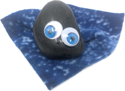 Rock Pet Adoption Kit Funny Novelty Gag Gift (Green Eyes)