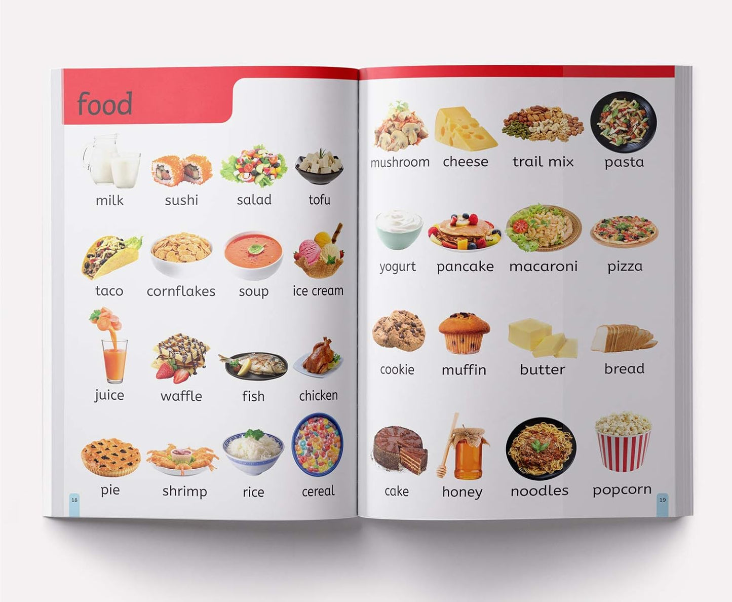 My First 1000 Words: Early Learning Picture Book to learn Alphabet, Numbers, Shapes and Colours, Transport, Birds and Animals, Professions, Opposite Words,