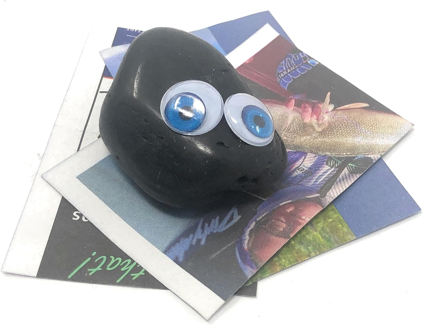 Rock Pet Adoption Kit Funny Novelty Gag Gift (Green Eyes)