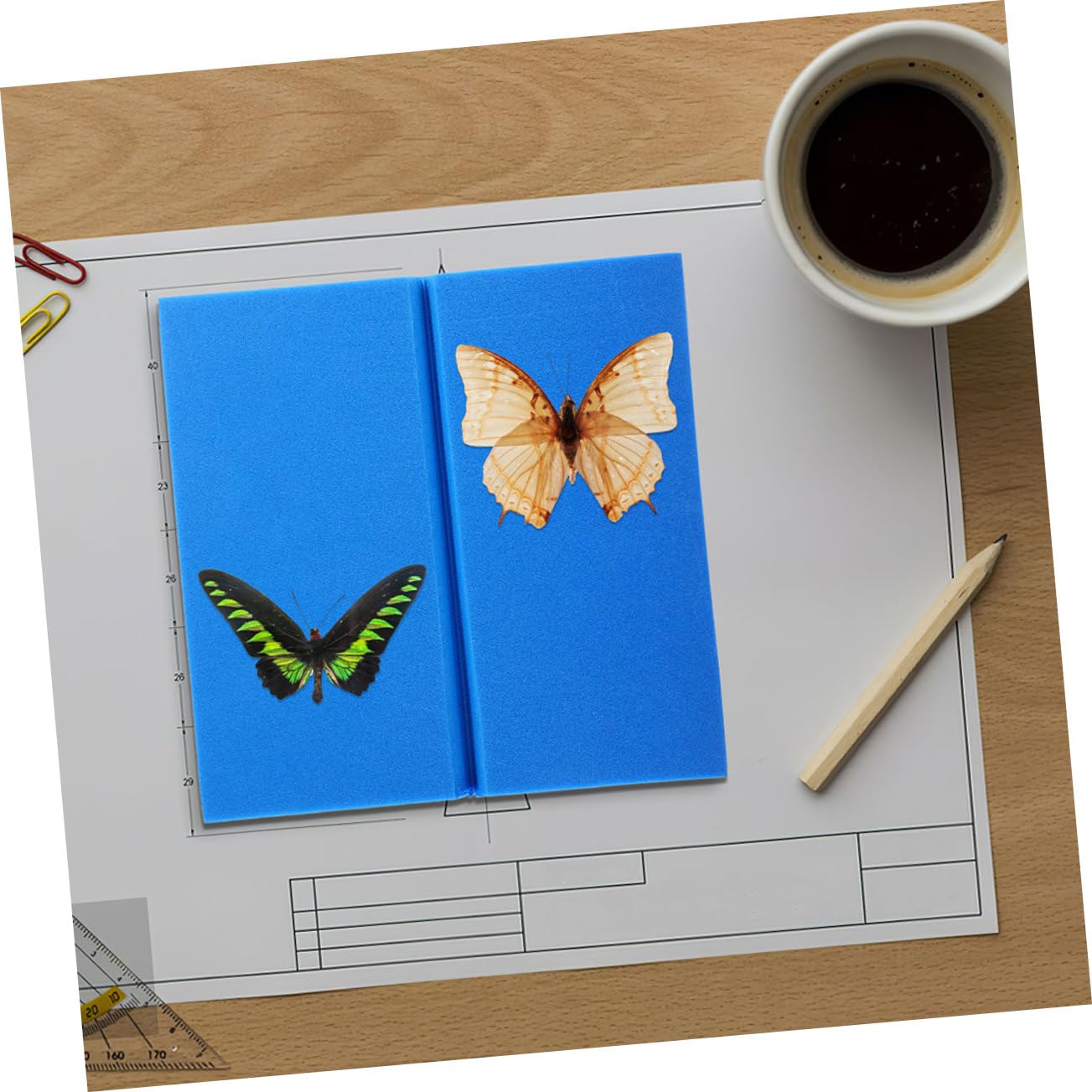OUNONA 2pcs Eva Butterfly Specimen Spreading Board for High-Density Foam Insect Pinning Tools for Classroom Teaching and Display Museums and Collections