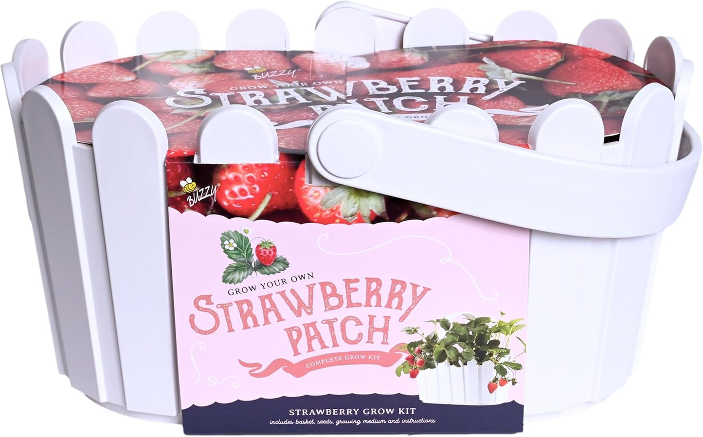 Buzzy Seeds Strawberry Grow Kit Pink Picket Fence Berry Basket with Grandian Seeds, Indoor Planting Starter Kit, DIY Garden Project, Gardening Gift for Women