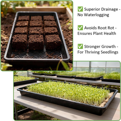 RooTrimmer 10 Pack 1020 Mesh Trays, Extra Strength 1020 Mesh Bottom Trays with Holes, 20'' x 10'', Heavy Duty Propagation Flats for Microgreens, Seed Starting, Soil Blocks, Hydroponics & Wheatgrass