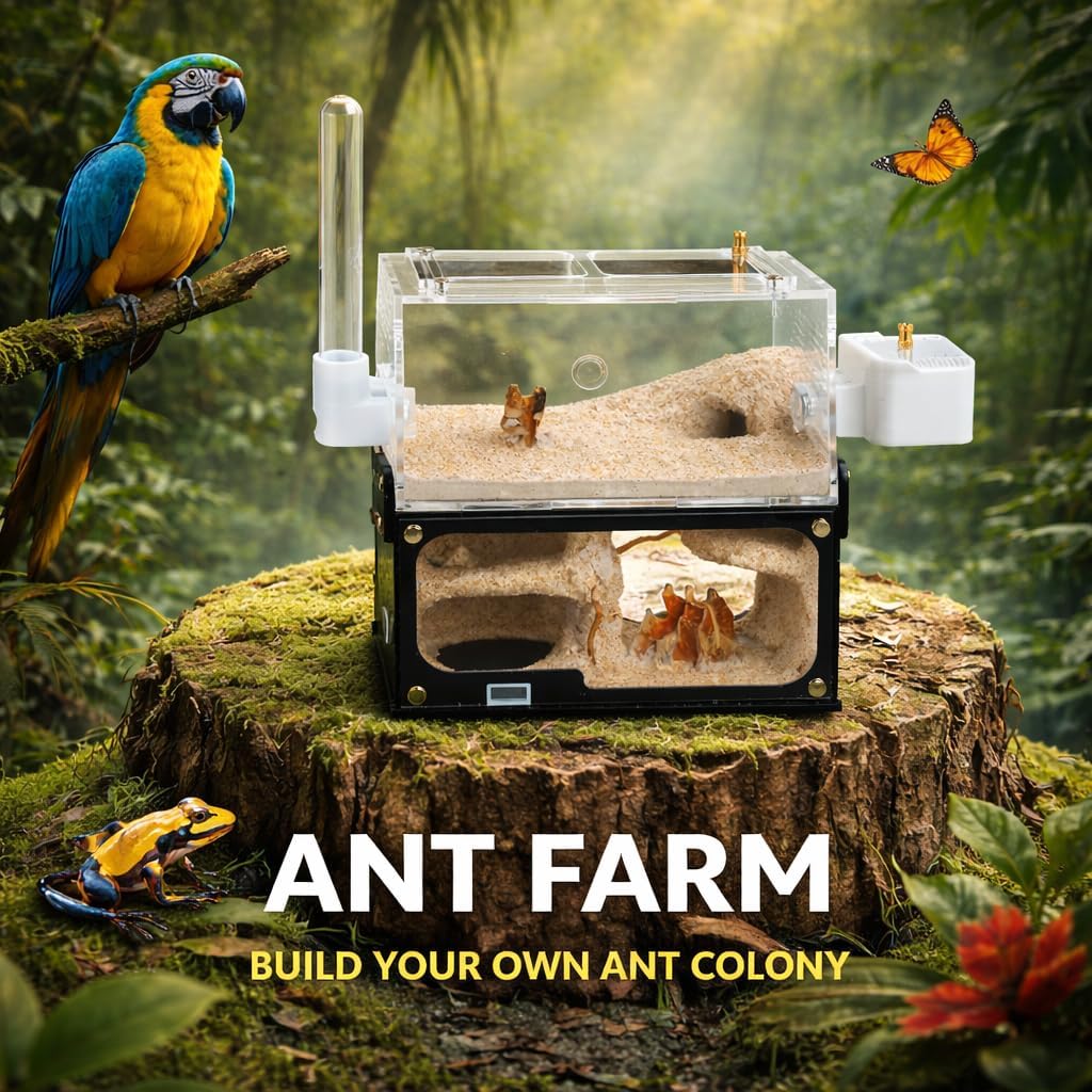 Ant Farm for Adults Study of Ant Behavior Ant Nest ant Terrarium Educational Formicarium for Live Ants and Queen,Cave Style Landscapes