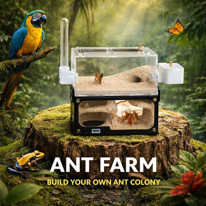 Ant Farm for Adults Study of Ant Behavior Ant Nest ant Terrarium Educational Formicarium for Live Ants and Queen,Cave Style Landscapes
