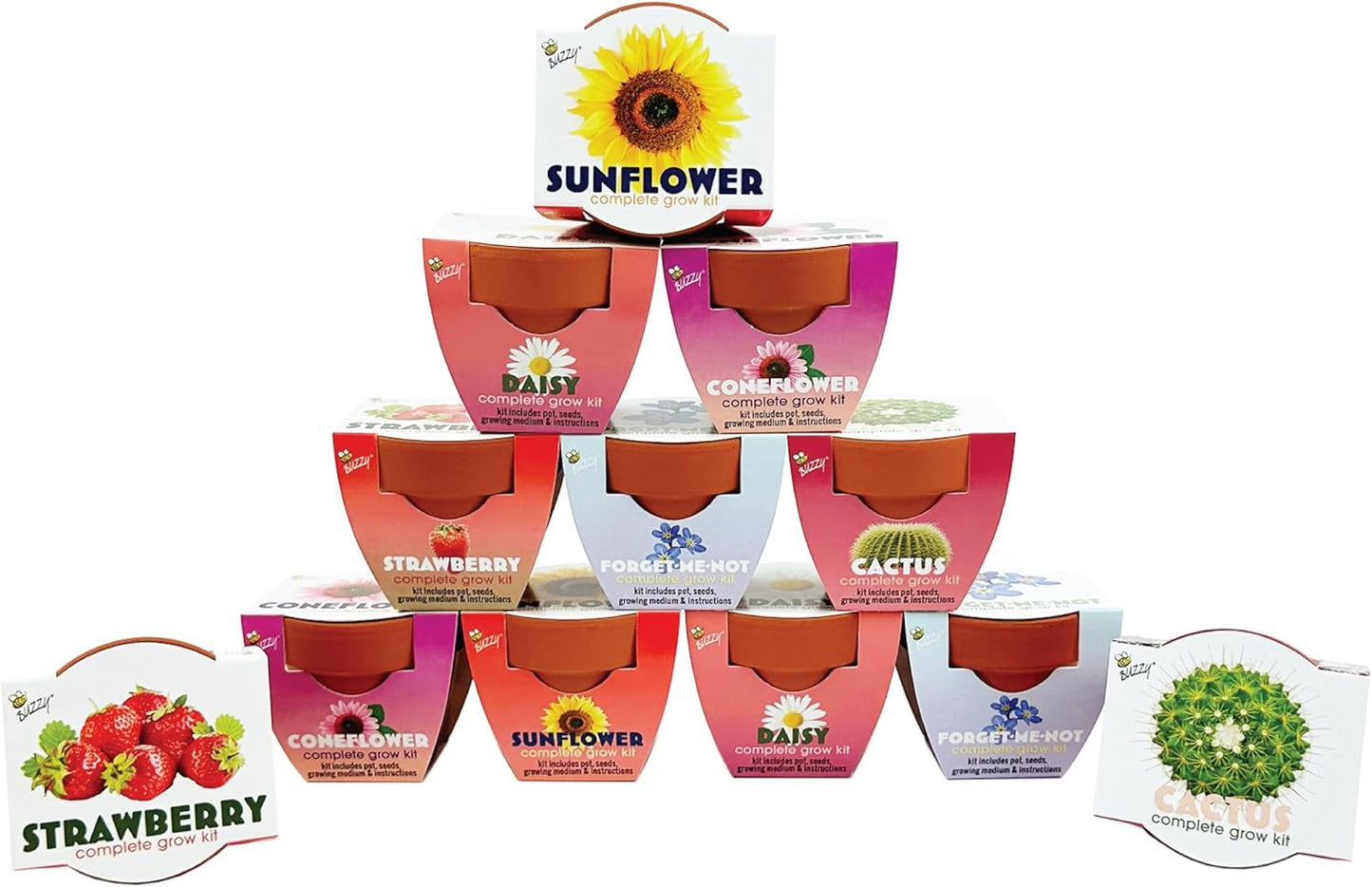 BUZZY Seeds 12-Pack Sunflower Mini Grow Pots – All-in-One Terracotta Flower Starter Kit with Growing Medium, DIY Gardening, Wedding and Shower Favors