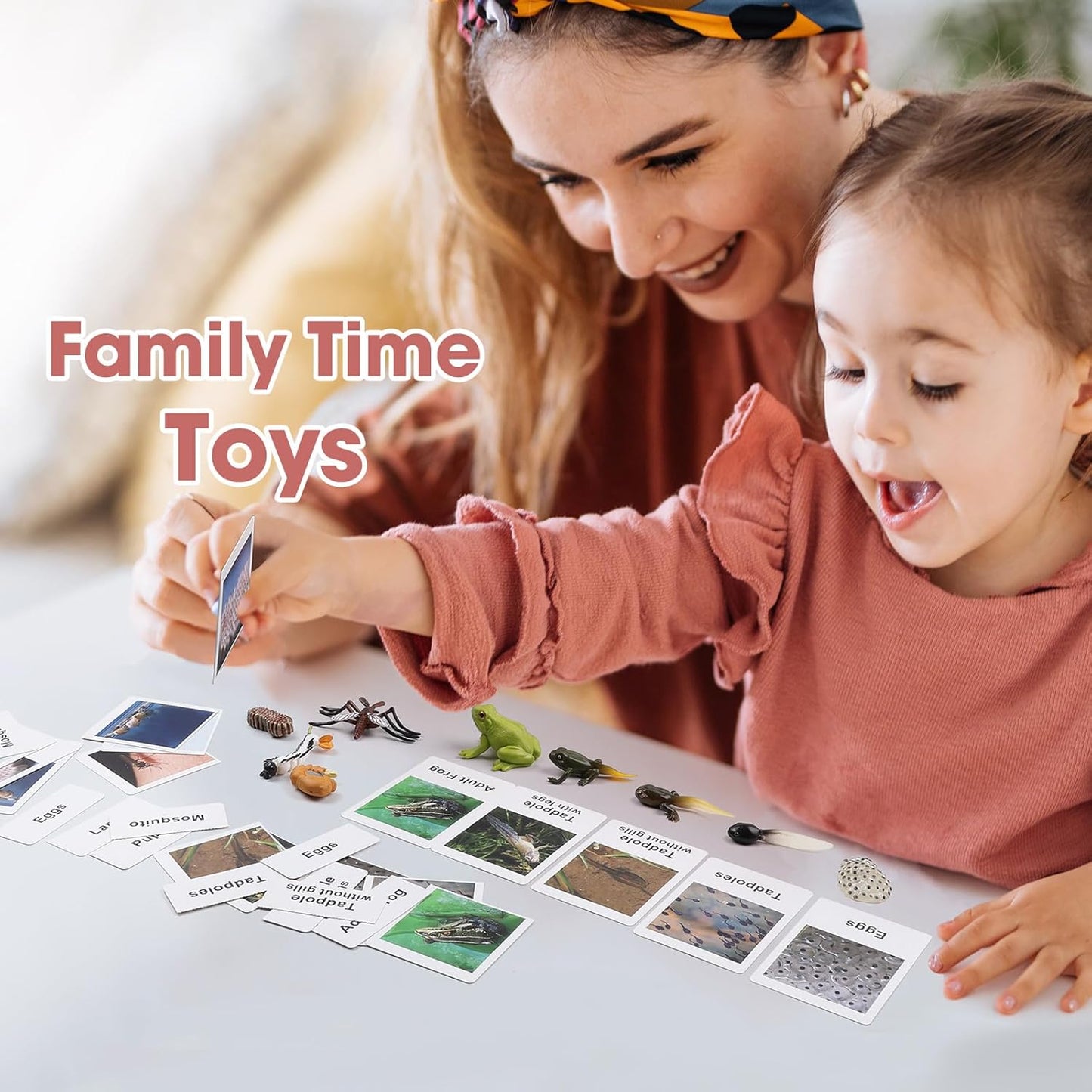 MEROCO Chicken Life Cycle Toys for Kids Insect Ant Bug Toys for Kid 3-5 Animal Flashcards with Figurines Preschool Science Toy for 3-5 Matching Game Science Animals Learning & Education