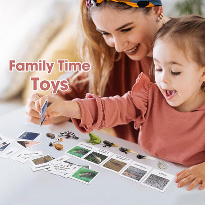 MEROCO Chicken Life Cycle Toys for Kids Insect Ant Bug Toys for Kid 3-5 Animal Flashcards with Figurines Preschool Science Toy for 3-5 Matching Game Science Animals Learning & Education