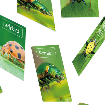 Real Amber Bug Dig Kit for Kids - STEM Science Toy with 3 Genuine Insect Specimens Preserved in Resin - Archaeology Excavation Activity - Educational Gift for Boys & Girls Ages 6+