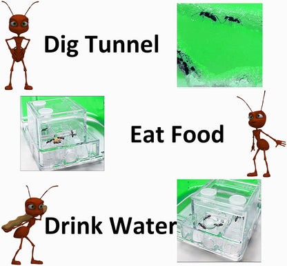EXBEPE Ant Farm for Kids - Gel Castle Colony Ecosystem Terrarium Kit, Habitat Science Learning Kit