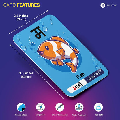 Briston Hindi Alphabet Flash Cards with Audio – Learn Hindi Letters and Pronunciation for Kids and Adults – Educational Language Learning Flashcards for Beginners, Classroom, Homeschool