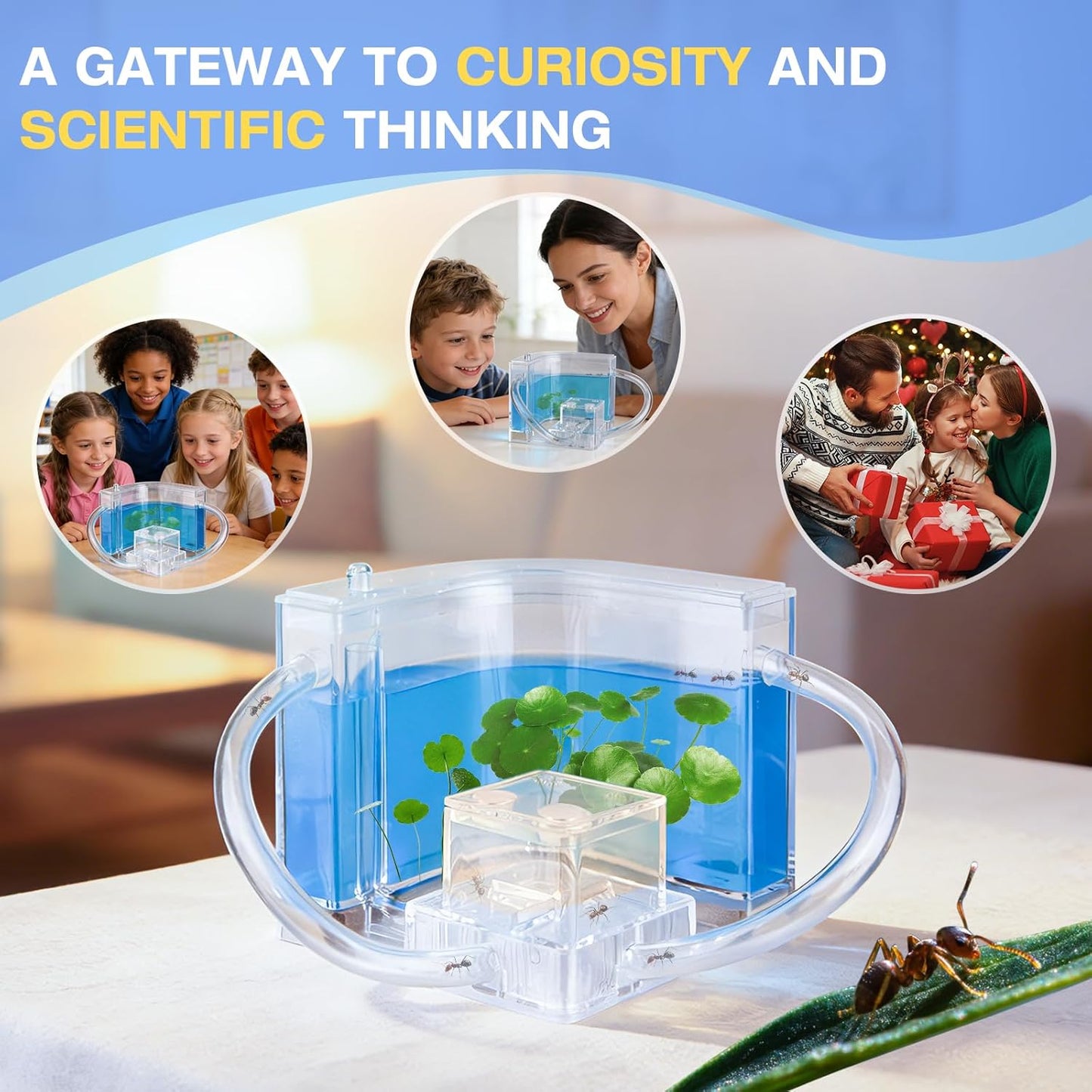 Ant Farm, Ant Habitat Kit with Built-in Lights for Observation and Learning, Fostering Exploration, Growth, and Discovery at Home