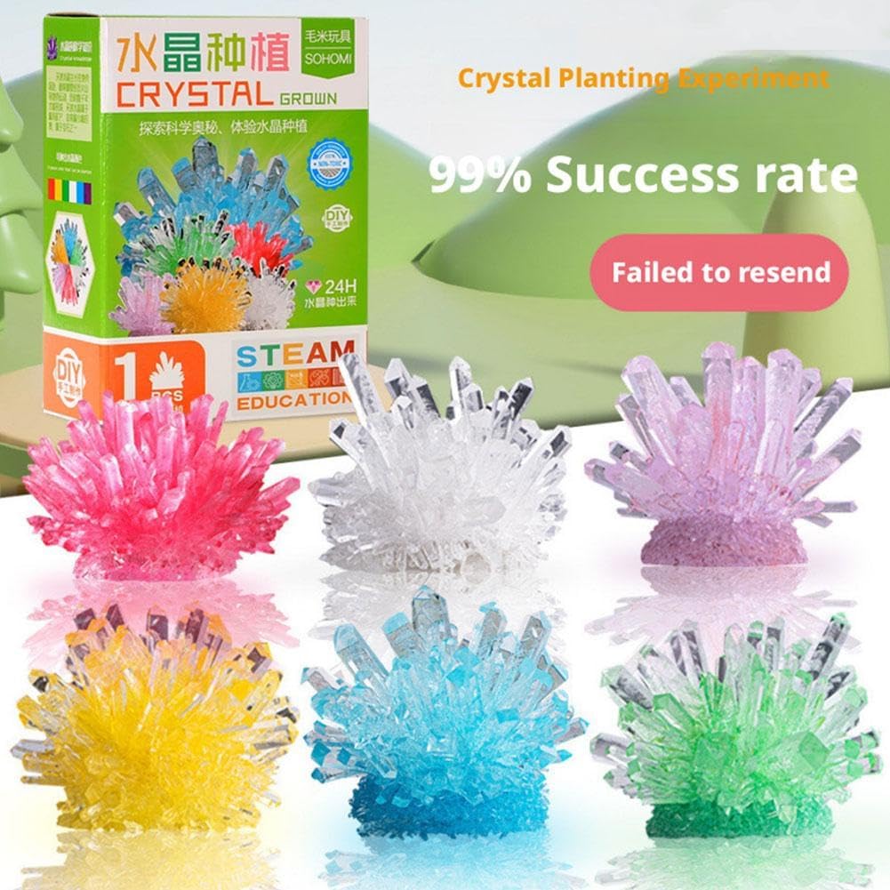 Crystal Growing Science Kit, Crystal Crafting Kit, Personalized Display (Green)