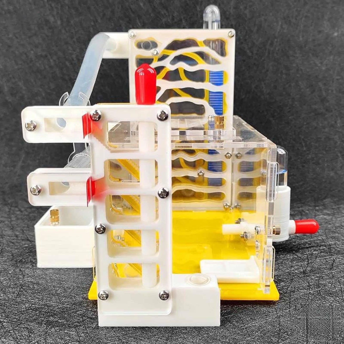 Menolana DIY ANT Farm Castle Anthill Pet Workshop,Educational,Scientific House Villa Acrylic Nest for Home School Students Kids