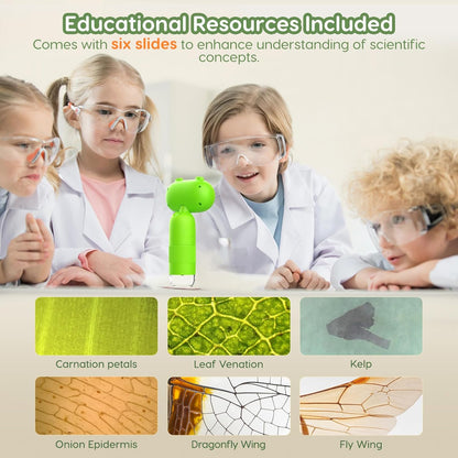 Hayve Handheld Digital Microscope for Kids 1000X,16MP Portable Pocket Microscope with 2inch IPS Screen,1080P Coin Magnifier for Collectors with 8 LEDs, PC View, 8GB