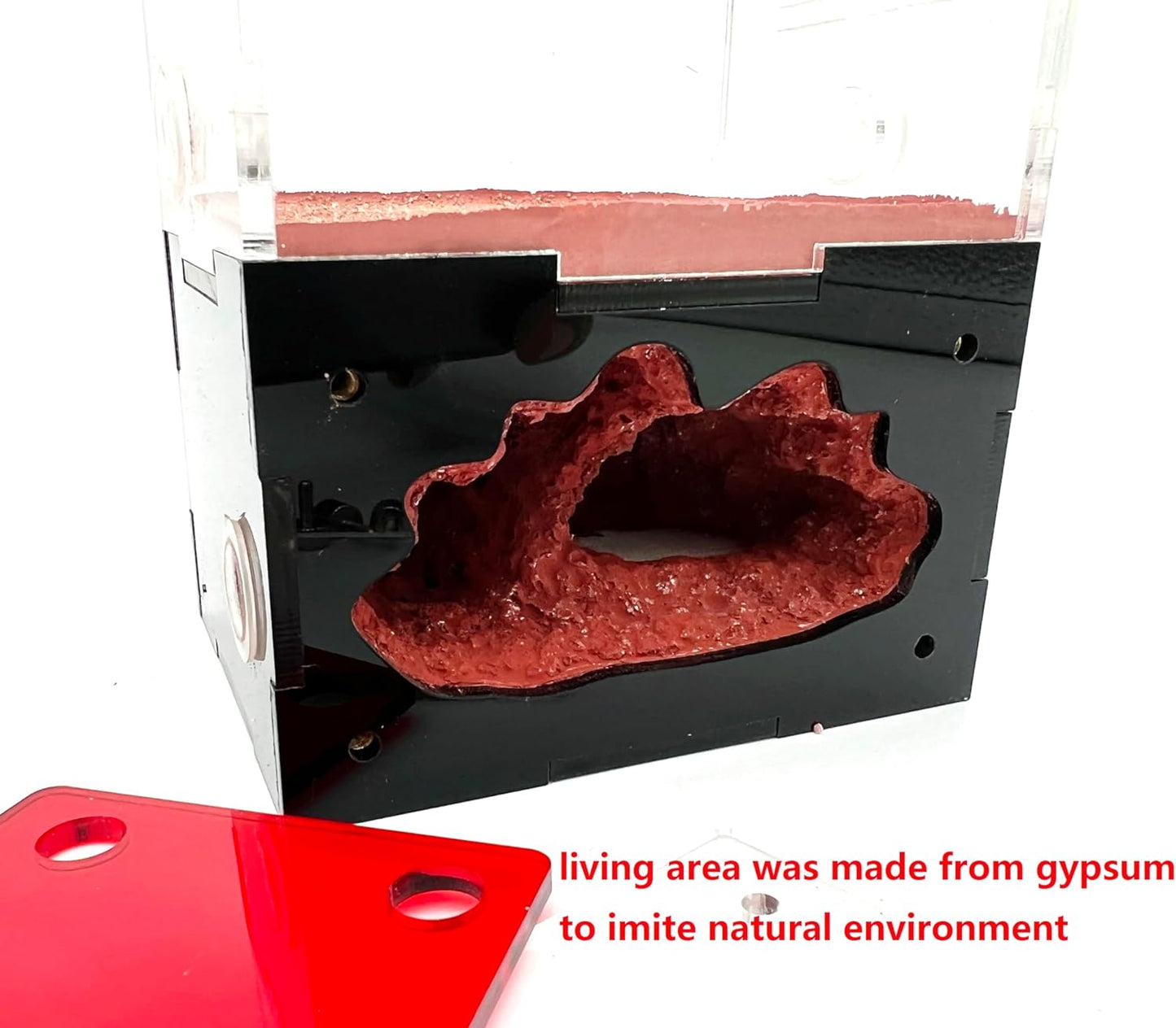 Ant Farm&Nest,House, Nest for ant Farm, Behavior Study House, Small Ant House.