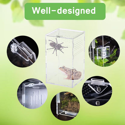 Critter Keeper Ant Farm Cane Toad Trap Little Live Pets Bug Catcher Kit for Kids Frog Habitat Turtle Tank Reptile Terrariums Lizard Cage Fish Bowl Beach Aquarium Catch and Release