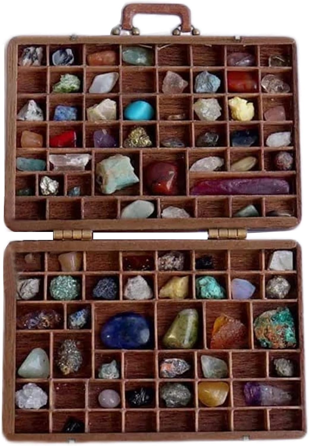 Mini Rock Collection Case 33 Compartment Stone Gem Mineral Collection Box Portable Suitcase Organizer for Crystals Rocks Geology Specimen Educational Gift Science Activity Storage Kit
