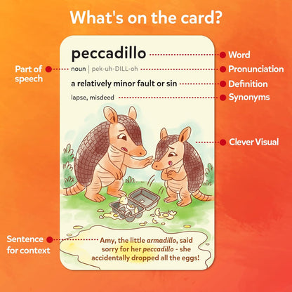 Skillmatics Vocabulary Flash Cards for Kids - Learn 100 Words with Wordplay, Visuals, & Soundplay, Educational Gift for Ages 8, 9, 10 & Up, Screen-Free Language Game