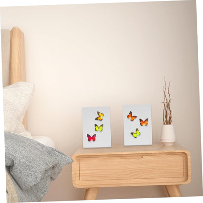 STOBAZA 3pcs Butterfly Specimen Mounting Board Insect Kit Science Supplies for Labs