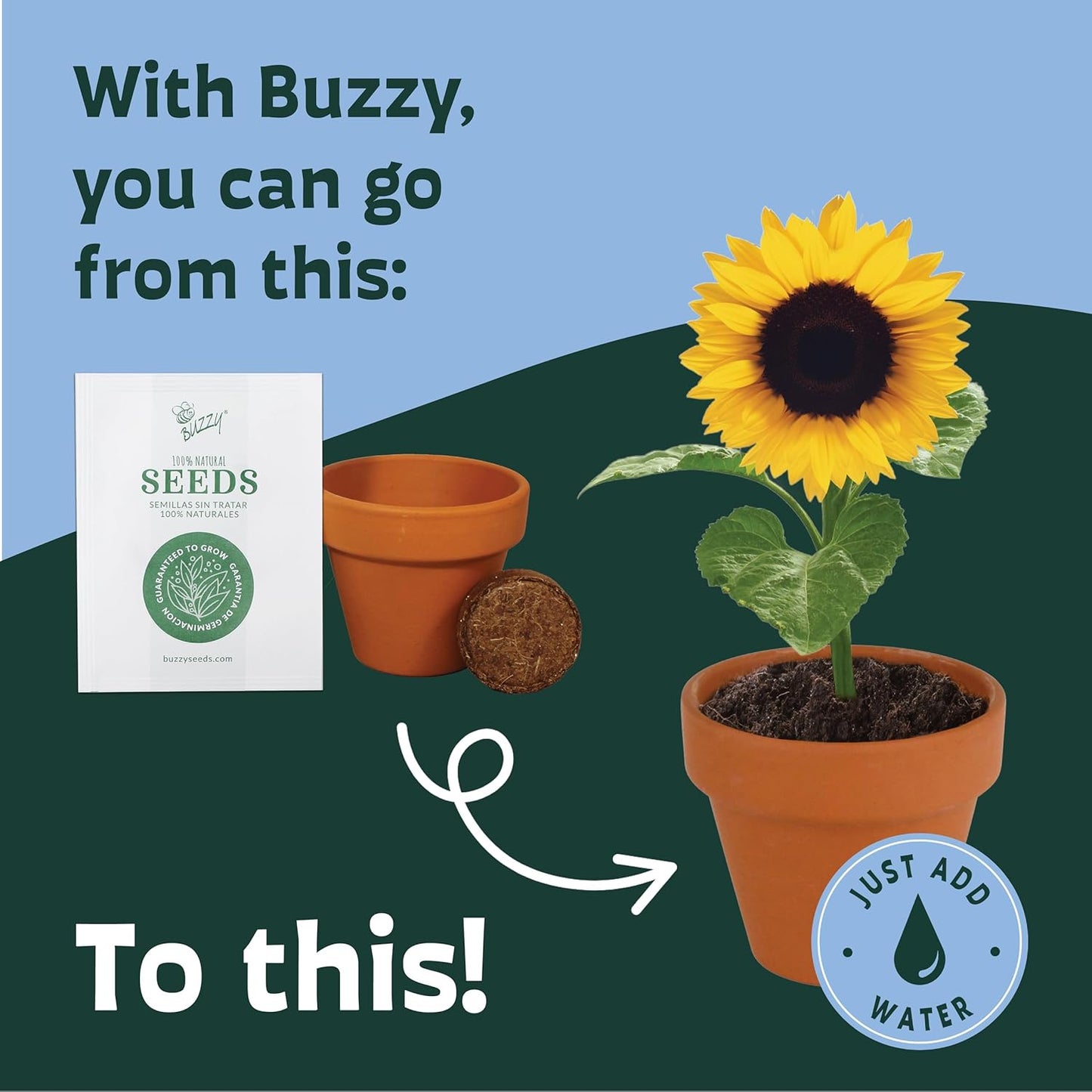 BUZZY Seeds Terracotta Mini Grow Pots – Herb Flower Plant Starter Kit Assorted 20-Pack with Lavender Seeds, Indoor Grow Your Own Gardening Gift for DIY Projects and Party Favors