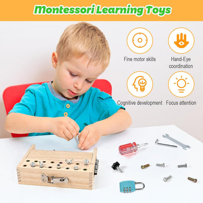 Montessori Screwdriver Board Set, Montessori Toys for 3 4 5 with 6 Locks and Keys, Toddler Screwdriver Toy, Kids Tool Set, Preschool Learning Sensory Toy, Fine Motor Skills Toys