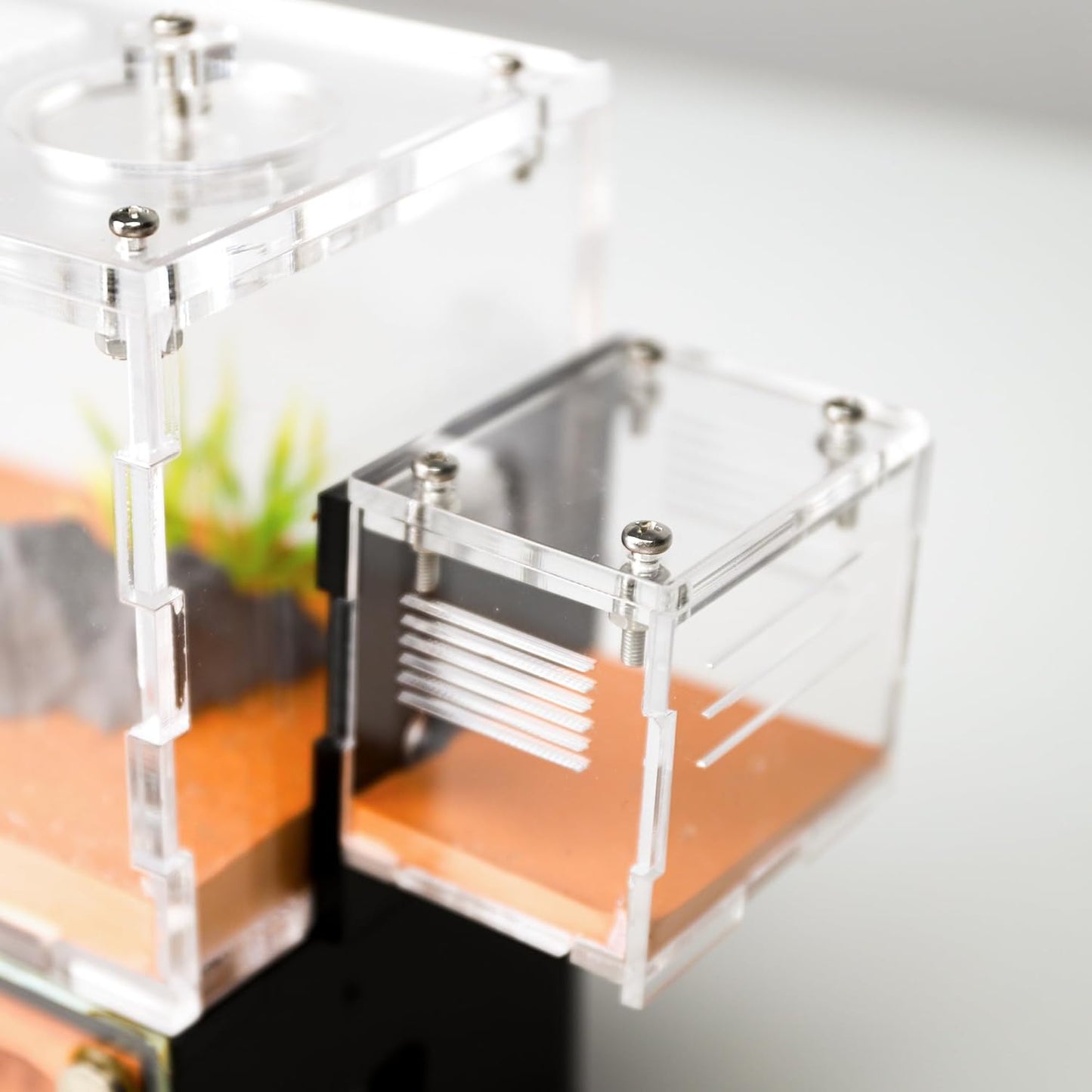 Ant Farm Nest for Adults Study of Ant Behavior Ant Nest ant Terrarium Educational Formicarium for Live Ants and Queen Two Floor