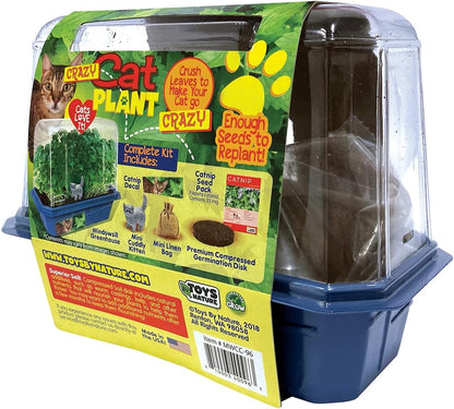 Toys By Nature Miniature Worlds Terrifying Venus Flytrap Terrarium Starter Kit for Kids and Adults, Watch Indoor Carnivorous Fly Traps Grow! Just Add Water! (Frightening Flytraps)