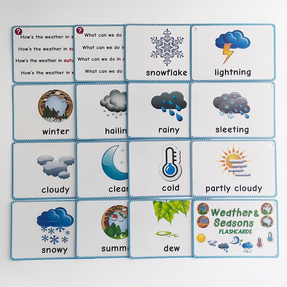 Lilias Irregular Past Tense Verbs English Grammar Double-Side Learning Flash Cards - 24 Card Set for Homeschool, Preschool, Primary School, ESL, Autism, Vocabulary Building