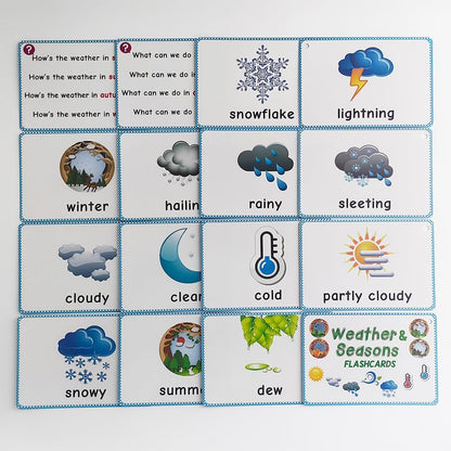 Lilias Irregular Past Tense Verbs English Grammar Double-Side Learning Flash Cards - 24 Card Set for Homeschool, Preschool, Primary School, ESL, Autism, Vocabulary Building