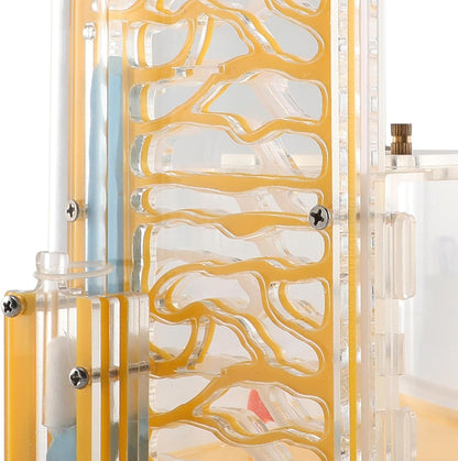ANT Housing Nest Habitat Transparent Acrylic with Feeder ANT Farm Display Box for Gift Lovers Birthday Decor Children's Day- Yellow