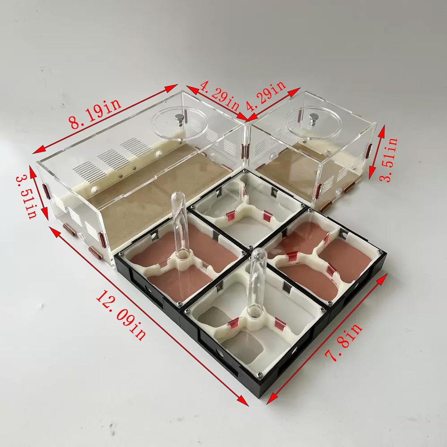 Plaster Test Tube Adult ant Farm Acrylic Transparent ant Observation Behavior Study Live Ants and Queen Education ant nest Small Colony breeding Area Suitable for Children and Enthusiasts Gift